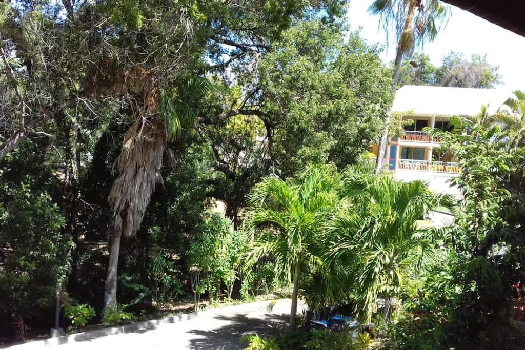 Studio Le Balisier Caritan Exterior foto